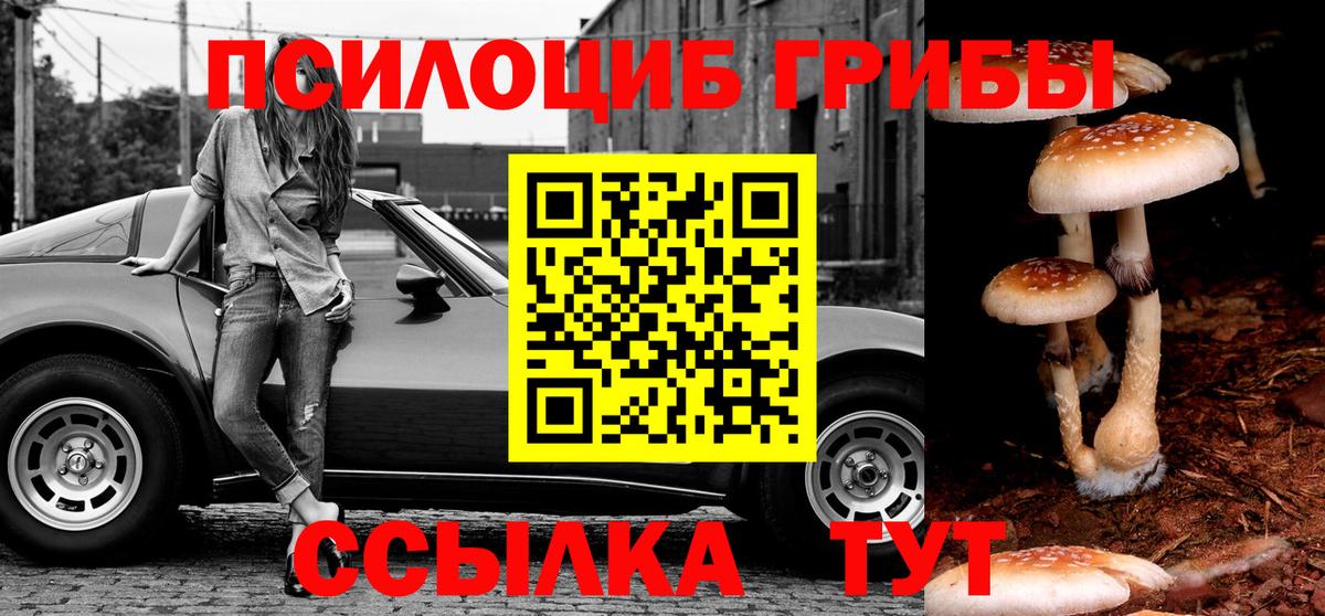 Галлюциногенные грибы GOLDEN TEACHER  Вход с VPN  Шелехов 